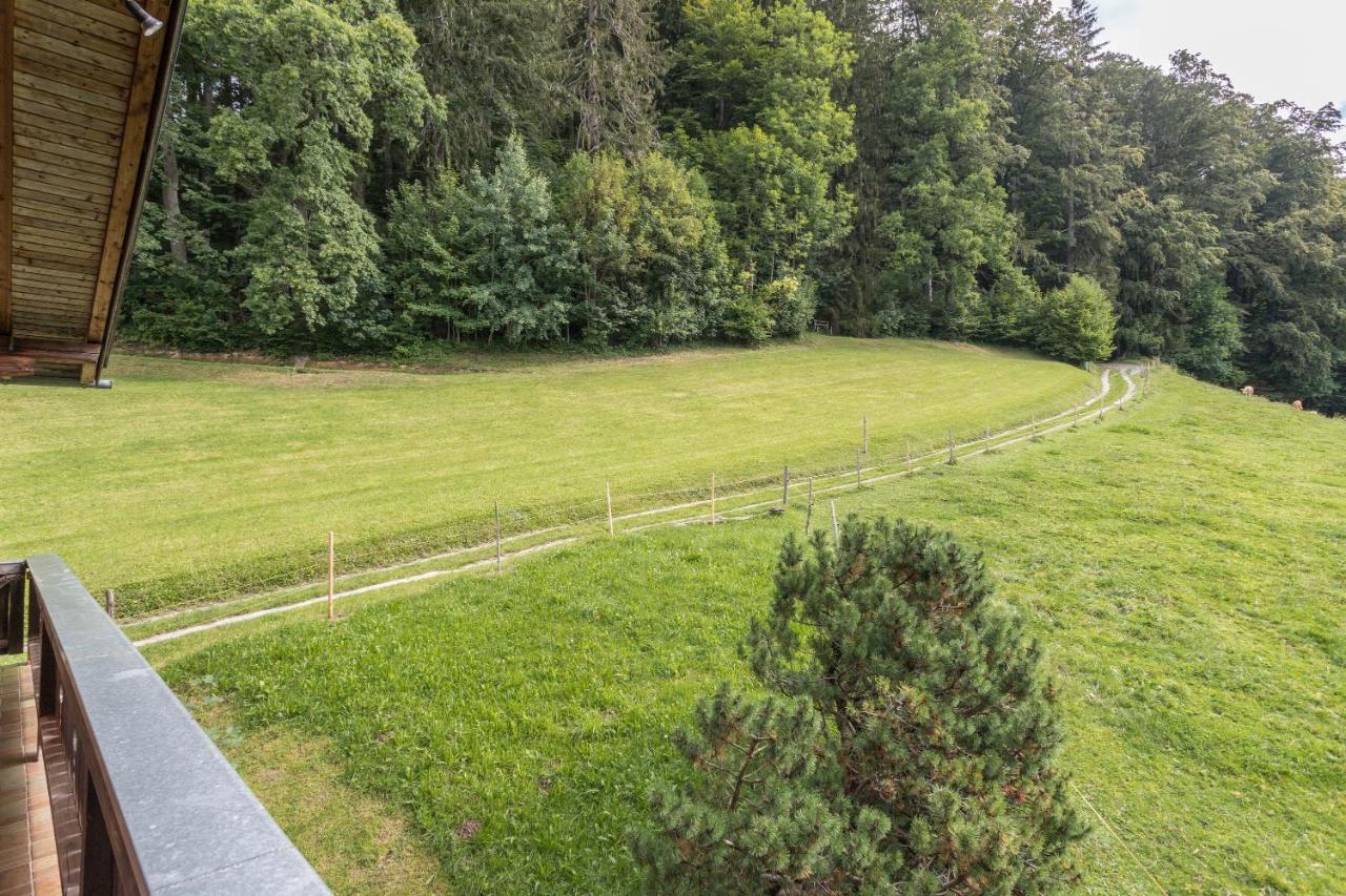 Ferienwohnung Oberrissglueck Шлирзее Екстериор снимка
